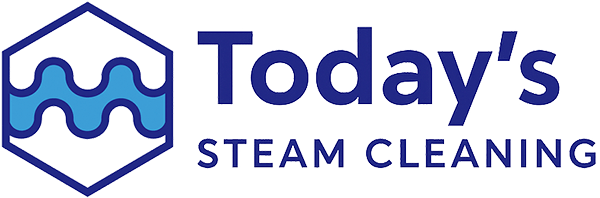 Today's Steam Cleaning