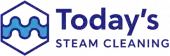 Today's Steam Cleaning
