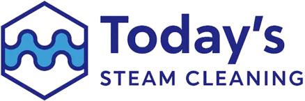 Today's Steam Cleaning
