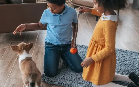 kids playing with a cat in a clean living area