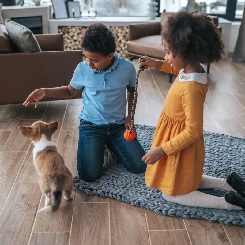 kids playing with a cat in a clean living area